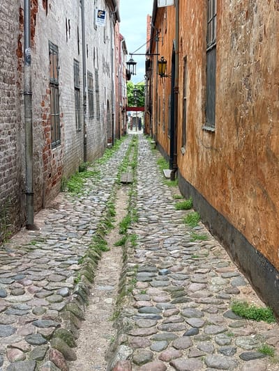 This is a photograph taken on a street in Elsinore, Denmark. The street is paved with cobblestones and is lined by old buildings on either side. The building on the left is constructed of brick and has windows with dark frames. The building on the right is covered in a textured, orange plaster and also has windows with dark frames. There are two black street lamps visible, one hanging from the side of the building on the right and another further down the street. The street is narrow and appears to be a pedestrian walkway. There is some green vegetation growing between the cobblestones. The sky above is overcast.