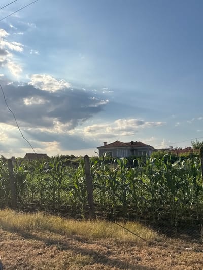 The image depicts a rural scene in Gelemenovo, Bulgaria, with a clear blue sky filled with fluffy white clouds, suggesting fair weather. The time of day appears to be late afternoon or early evening, indicated by the warm sunlight casting shadows.
The foreground is dominated by a lush green cornfield, stretching across the frame. To the right of the cornfield, dry, brown grass covers the ground, separated by a wire fence. A few rustic wooden posts are visible within the cornfield, possibly marking rows or a boundary.
In the background, several houses with red-tiled roofs are nestled among trees, suggesting a small village or settlement. The architecture of the houses seems traditional.
The image has been rotated, with the sky appearing on the left and the land on the right. The overall atmosphere is tranquil and idyllic, evoking a sense of rural life and the beauty of nature. No people or specific activities are evident, but the scene implies a quiet, pastoral setting. There is no visible text in the image.