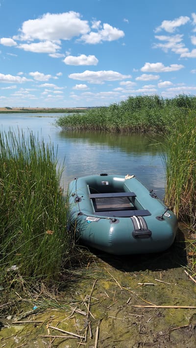 A green inflatable boat rests on the muddy shore of a calm lake, partially submerged in the water. Tall reeds line the water's edge, forming a dense green barrier that extends into the distance. The lake itself is placid, reflecting the bright blue sky dotted with fluffy white clouds. In the background, a flat, cultivated field stretches towards a hazy horizon, suggesting the boat is located near Sebyne, Ukraine. The scene is peaceful, with no people or animals present.