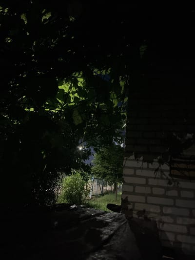 The image depicts a dark outdoor scene with prominent foliage in the foreground. A brick wall occupies the right side of the frame, its surface illuminated by ambient light. Beyond the foliage and to the left, a dimly lit area reveals a grassy yard with a fence in the background. A single street light is visible, casting a glow on the scene. The overall impression is that of an urban environment at night, potentially in Chashniki, Belarus, given the context provided, with a focus on the interplay of light and shadow on natural and man-made elements. There are no people or discernible actions occurring in the image.