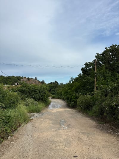 The image depicts a dirt road winding through a vegetated, hilly landscape under a cloudy sky. On the left side of the road, there is overgrown grass and bushes, leading up to a rocky incline with a small, dilapidated structure. The right side of the road is bordered by dense green foliage and trees, with a single wooden utility pole and electrical wires running horizontally across the upper portion of the scene. The road itself appears to be somewhat weathered, with patches of wetness and some minor erosion. The overall impression is one of a rural or semi-abandoned location.