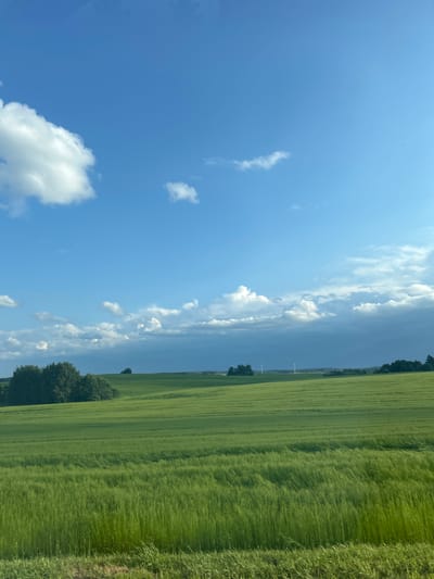 The image depicts a vast, undulating green field under a partly cloudy blue sky, suggestive of a rural landscape in Ладзеніцкі сельскі Савет, Belarus. The foreground is dominated by a close-up view of tall, lush green grass, which appears to be wind-swept, creating a textured, wavy pattern. As the field recedes into the distance, it transitions into rows of shorter, neatly cultivated crops, also vibrantly green, stretching across rolling hills.
In the middle ground, a cluster of dense, dark green trees stands on the left side of the frame, providing a stark contrast to the lighter green of the fields. Further in the distance, beyond the green expanse, a few scattered trees and the faint outlines of buildings or structures can be discerned. Two white wind turbines are visible on the horizon, indicating modern infrastructure in this otherwise natural setting.
The sky above is a bright blue, punctuated by several white, fluffy cumulus clouds on the left, and a more diffused band of clouds stretching across the middle and right portions of the sky. Some of these clouds are darker and more textured, hinting at potential weather changes. The overall impression is one of expansive natural beauty and agricultural productivity. There are no people or animals visible in the image. The lighting suggests it is daytime, possibly late afternoon given the slight diffusion of light through the clouds.