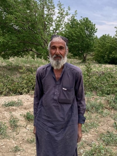 An elderly man stands centered in a rural outdoor setting in Qila Saifullah, Pakistan. He has a long, prominent white beard and mustache, with grey hair visible around his temples and crown, partly covered by a dark cap or hair. He is wearing a dark-colored, long-sleeved traditional tunic, likely a shalwar kameez, with a buttoned placket and a pocket on the left chest, which has a small, unreadable white tag or logo. His gaze is direct and neutral, looking towards the viewer.

The background consists of numerous green-leafed trees, suggesting an orchard or wooded agricultural land, possibly in a state of growth or recent pruning, as indicated by some cut branches lying on the ground behind him. The ground beneath the man is predominantly dry, light brown earth, characterized by visible cracks, interspersed with sparse patches of green weeds or small plants. The sky above appears overcast or cloudy, indicating a daytime setting without direct sunlight. The scene conveys a sense of quiet observation within a working landscape.