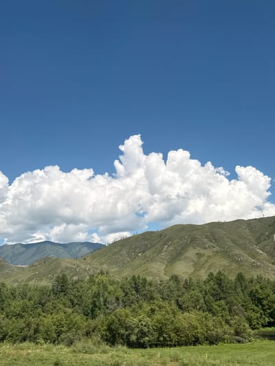 The image depicts a wide, panoramic view of a mountainous landscape under a clear blue sky dotted with fluffy white clouds. The foreground features a dense, verdant forest, with trees of various shades of green, indicating lush vegetation. Beyond the forest, rolling hills and mountains rise, their slopes covered in green grass and patches of sparse trees. The mountains in the background are layered, with some appearing more rugged and rocky. The overall scene conveys a sense of natural beauty and tranquility. This landscape is characteristic of the area around Onguday, a rural locality in the Altai Republic of Russia, known for its picturesque natural scenery.