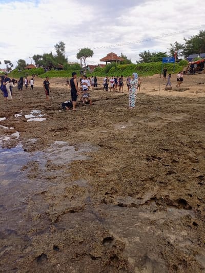 The image depicts a group of people gathered on a rocky beach in Pameungpeuk, Indonesia, located at coordinates -7.668 latitude and 107.694 longitude. The foreground is dominated by a rough, brown, uneven, rocky surface. The majority of the individuals appear to be young adults, dressed casually in t-shirts and shorts. Several people are standing, while others are crouching or sitting on the rocky surface. There are trees and a small building visible in the background, suggesting the presence of a park or recreational area. Some of the people in the background appear to be walking away from the camera.  The overcast sky suggests it may be a cloudy day. The rocky beach has a wet appearance with several pools of water. The scene evokes a sense of casual outdoor activity.