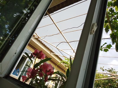 The image depicts a view through an open window, looking outwards at an outdoor scene. In the foreground, a cluster of pink flowers is in bloom, with green leaves. Through the window, a building with a yellow facade and a tiled roof is visible. A row of windows with white frames lines the building. Inside the room, reflected in the window, are two blue water bottles.

Outside the building, a rusty metal structure with horizontal bars and wires extends overhead, supporting greenery. Clusters of green grapes hang from a vine on the right side of the frame. The sky is overcast with some clouds. The scene appears to be set during the daytime. The overall impression is one of a domestic setting, possibly a home or garden, in a rural or semi-rural area, given the grapevines and the rustic metal structure. The image was taken in Suzak, Kyrgyzstan. There is no visible text in the image.