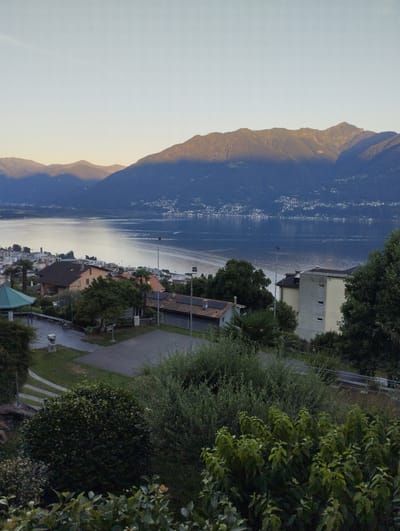 The image captures a serene lakeside landscape at dusk, likely in Orselina, Switzerland. In the foreground, a paved area with markings for a sports court is visible, accompanied by a modern-looking structure with a green roof and a statue. Surrounding this area are lush green trees and bushes, some with dark, dense foliage and others with lighter, more vibrant leaves.
Beyond the immediate foreground, a cluster of houses with tiled roofs and a taller, modern building with windows can be seen nestled among the trees. A street or pathway winds through this residential area, and streetlights are strategically placed along it.
The midground is dominated by a tranquil lake, its surface reflecting the soft, diffused light of the setting sun. Across the lake, a town or city is spread out along the shoreline, with buildings appearing as small white dots against the darkening landscape. The distant background features a range of majestic mountains, their peaks bathed in the warm golden light of sunset, while the lower slopes are cast in deep shadow. The sky above is a pale, clear blue, transitioning into warmer hues near the horizon.
The overall mood is peaceful and tranquil, with the soft light and natural beauty of the scene creating a sense of calm. The time of day is clearly indicated by the long shadows and the quality of light on the mountains, suggesting it is late afternoon or early evening. There is no visible text in the image.