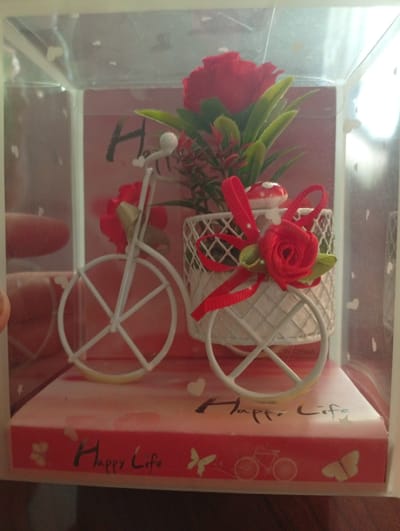 The image shows a small decorative item inside a clear box. The item is a miniature white bicycle with red roses and green leaves attached. A red ribbon is tied around the basket of the bicycle. The box itself rests on a pink and red rectangular base with "Happy Life" written in black cursive script. There are also decorative butterflies and other small shapes on the base. The background inside the box is a pink patterned paper. The overall setting is not identifiable as Akaltyn, Uzbekistan.