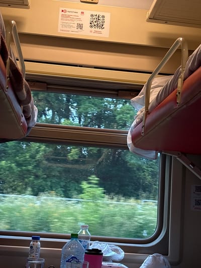 The image depicts the interior of a train compartment, likely in Russia, as suggested by the Cyrillic text on a sign and the mention of "РЖД" (Russian Railways). The scene is viewed from a seated position looking out a window.
In the foreground, on a ledge below the window, are several items: two plastic water bottles (one with a blue cap and a label featuring a smiling sun graphic, another larger bottle with a green cap and the text "CONE FOREST"), a clear glass, a pink thermal mug, and a white plastic bag.
The window reveals a blurred, fast-moving green landscape, indicating the train is in motion. Trees and vegetation are visible, suggesting a rural or suburban setting.
Above the window, attached to the wall, are two white signs with QR codes. The left sign has Cyrillic text that translates to "WATCH FILMS, SERIES AND CARTOONS. ORDER FOOD AND DRINKS." Below this is a section detailing how to connect to Wi-Fi. The right sign also has Cyrillic text and a QR code, potentially related to passenger services or loyalty programs.
Two cushioned seats, one on the left and one on the right, are visible. The seat on the left is partially covered by a brown and beige blanket. The seat on the right is covered with white bedding. Metal grab handles are positioned above the seats. The overall lighting is warm and artificial, typical of train interiors.
The mention of "Покровка, Russia" is not directly verifiable from the image content alone but is provided as a potential location.