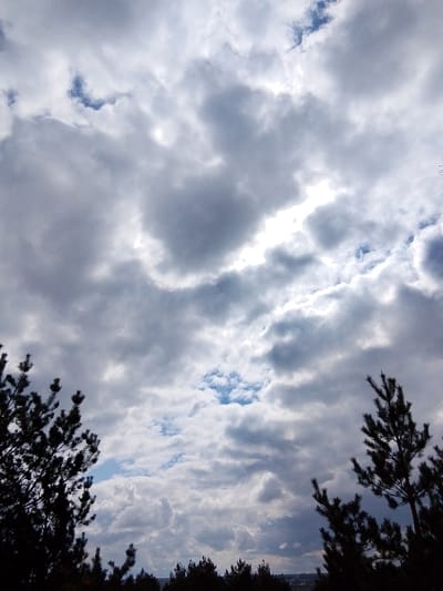 The image displays a dramatic sky dominated by a dynamic arrangement of clouds, viewed from a slightly elevated perspective. Large, voluminous grey clouds fill most of the frame, with brighter, whiter sections where sunlight penetrates or reflects off them. Patches of clear blue sky are visible through openings in the cloud cover, particularly in the lower central and upper left areas. The overall impression is one of diffused light on a partly cloudy to overcast day.
Silhouetted against this sky are the dark forms of pine trees. A prominent pine tree with dense needles occupies the lower left corner, its branches extending into the frame. Another pine tree is partially visible in the lower right, also in stark silhouette. In the distance, along the very bottom edge of the image, a subtle dark line suggests a distant tree line or horizon.
No people or specific activities are depicted. The scene captures a natural landscape, likely a forest or woodland setting, consistent with the location context of Елец-Маланино, Russia. The time of day appears to be daytime, with significant ambient light despite the heavy cloud cover. There is no visible text.