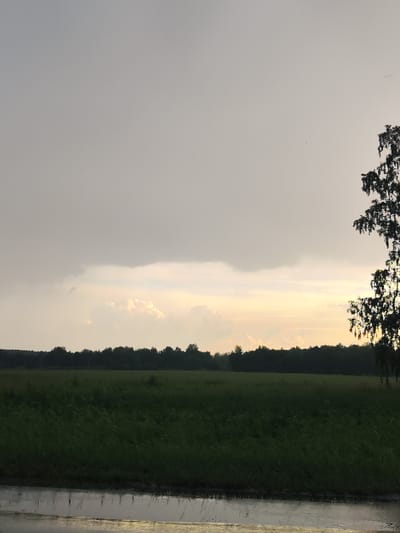 This is a landscape photograph taken in the city of Moskovskiy, Russia. The scene depicts a vast, dark green field under a cloudy, overcast sky. A dense line of dark trees forms a horizon in the distance, separating the field from the sky. In the foreground, a dark, wet surface, possibly water or mud, reflects the subdued light. The right side of the frame features the silhouette of a tall tree with sparse foliage against the lighter sky. The overall lighting suggests it is either early morning or late evening, with diffused light filtering through the clouds. There are no people or animals visible in the image.