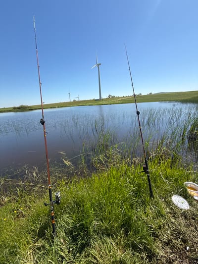 The image depicts a waterside scene, potentially in the outskirts of Lesovo, Bulgaria, suggested by the presence of wind turbines in the background, a common feature in the agricultural landscape of the region. Two fishing rods are positioned along the bank, with their lines extending into the water. The immediate foreground consists of lush green grass interspersed with reeds and marsh vegetation. The sky is clear and blue, indicative of a sunny day. Bait containers are visible on the grass, near one of the rods, indicating the setting is for fishing activities. The water surface shows slight rippling, possibly due to a gentle breeze. The composition suggests a serene, rural location, possibly a recreational fishing spot.