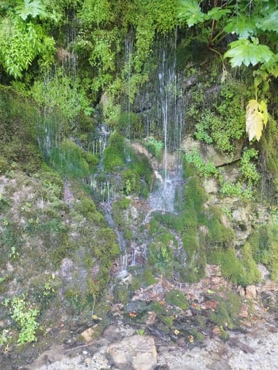The image displays a moss-covered rock face with a small waterfall cascading down. Lush green vegetation, including ferns and smaller plants, grows abundantly on and around the rocks. The water is flowing in thin streams, creating a delicate curtain effect against the textured surface. The scene appears to be in a natural, outdoor setting, likely a wooded or mountainous area. The context provided mentions the city of Kiri, Russia, suggesting this waterfall is a natural feature within or near that location.