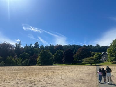 The image depicts a bright, sunny day with a clear blue sky and scattered cirrus clouds. In the foreground, a large, dry, golden field stretches across the lower half of the frame. A paved pathway curves from the lower right corner towards the center, where three individuals are walking away from the camera. The person on the left wears a pink shirt and jeans, the middle person wears a black shirt and a skirt, and the person on the right wears a black t-shirt, white shorts, and carries a white object that could be a racket or a club.
Beyond the field, a line of diverse trees forms a dense forest, with some trees displaying dark red foliage and others being green. A fence runs horizontally across the middle ground, separating the field from the wooded area. In the upper right quadrant of the image, a large stone building with a multi-story structure and visible windows is situated on a grassy slope amidst the trees. This building is likely Hatley Castle, part of Royal Roads University, located in Langford, Canada, as it matches the architectural style and setting. The overall scene suggests a park or estate setting on a warm, clear day.