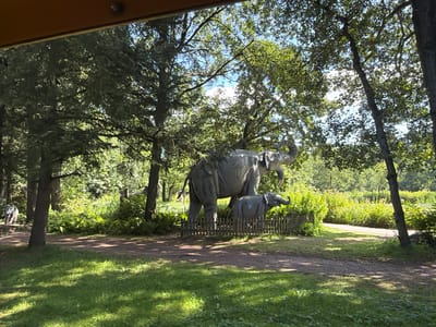 This media file depicts an outdoor scene featuring two elephant statues, one larger than the other, appearing to be a mother and calf. The statues are made of a dark, possibly bronze or stone material. They are positioned in what looks like a park or zoo enclosure, with a wooden fence surrounding them.

The environment is lush and green, suggesting a warm, sunny day. Sunlight filters through the dense foliage of numerous trees, casting dappled shadows on the ground and the statues. The ground appears to be a mixture of grass and a dirt path. In the background, there is more greenery, indicating a wooded or park-like setting. The sky is visible in parts, peeking through the leaves, and appears to be blue.

The orientation of the image is rotated, making the ground appear at the top and the sky at the bottom. The overall impression is a peaceful, natural setting, likely a public space designed for viewing such sculptures. No people are visible in the frame, and there is no visible text. The scene evokes a sense of tranquility and nature.