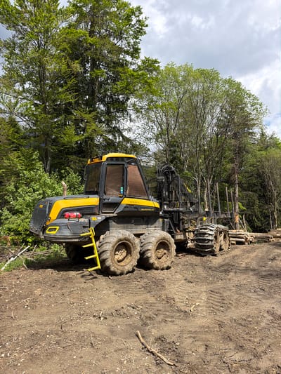 The image depicts a yellow and black forestry vehicle, likely a forwarder, situated in a muddy logging area. The vehicle is positioned next to a forest with deciduous trees. Cut logs are stacked behind the vehicle. The sky is overcast. There is no evidence to support the location being in the city of Рилски манастир, Bulgaria.