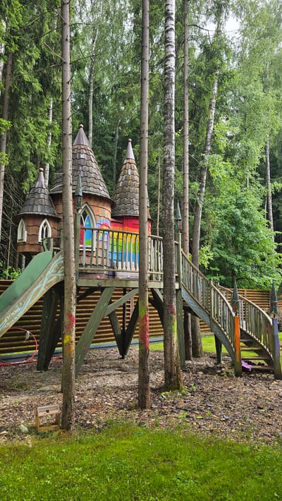 The image shows a whimsical, multi-level playhouse built among trees. The structure has a fairytale-like aesthetic, with cone-shaped roofs covered in shingles, arched windows, and vibrant rainbow-colored accents on the railings and walls. A wooden staircase with colorful painted railings leads up to one of the levels. The playhouse appears to be integrated into its natural surroundings, with several tree trunks passing through and around it. The ground around the structure is covered with wood chips and rocks, and a patch of green grass is visible on the right side of the image. The overall impression is one of a playful and imaginative outdoor space, likely a playground or a private backyard. The time of day appears to be daytime, with diffused light suggesting it could be overcast or late afternoon. The location cues point to a forested area, possibly in Russia, given the context. There is no visible text in the image.