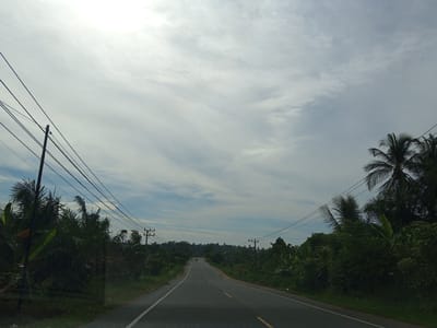 The image presents a forward-facing view from a vehicle traveling on an asphalt road in Payabeunyot, Indonesia, under an overcast sky. The sky, occupying the upper third of the frame, is largely covered by white and light grey stratiform clouds, with faint patches of blue visible towards the horizon and upper left, indicating a diffused bright light source.
The two-lane road features a solid white line on its left edge and a faded, broken yellow centerline. It extends into the distance, appearing to ascend slightly and curve gently before disappearing into a hazy background. Two motorcycles are faintly visible in the far distance on the road, heading away from the viewer.
Both sides of the road are densely lined with tropical vegetation. On the left, various leafy green plants, including discernible banana plants and broadleaf foliage, grow close to the roadside. A wooden utility pole with multiple overhead power lines runs parallel to the road on this side, with the lines extending from the foreground, dipping, and then rising towards the distance.
The right side of the road also exhibits dense tropical flora, dominated by numerous tall palm trees (consistent with coconut palms) and banana plants, forming a continuous green barrier. Another utility pole with associated power lines is visible further down the road on the right. The overall scene depicts a rural, vegetated landscape with essential infrastructure.
