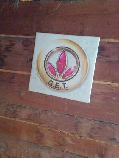 A square, light-colored object with a circular emblem is placed on a wooden surface. The emblem features three red, gem-like shapes arranged in a triangular formation within a golden ring. The letters "G.E.T." are prominently displayed in black below the emblem. The wooden surface appears to be made of planks with visible grain and some texture, suggesting it might be an outdoor or rustic setting. There are faint, handwritten inscriptions on the object's surface around the emblem, which appear to be signatures or personal notes. The overall lighting is diffused, casting subtle shadows. The image is taken from a slightly elevated angle, looking down at the object. The specific location in the city of Степной, Russia is not discernible from the visual elements present in the image.
