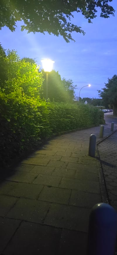 The image depicts a paved pathway curving to the left, bordered by a dense, green hedge on the left and a road on the right. A streetlamp with a bright, warm light illuminates the hedge and pathway. The sky above is a deep twilight blue with scattered clouds, and tree branches with leaves overhang the top of the frame. Several rounded bollards are visible along the edge of the pathway on the right. In the background, there is a street with parked cars and additional trees. The scene appears to be an outdoor public space, possibly a park or a residential street, in Seevetal, Germany, given the presence of street lighting and typical European urban vegetation. There are no people visible in the image.