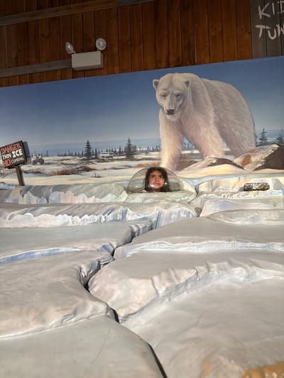 A vertical photograph depicts a child with dark hair and eyes positioned inside a clear dome. The dome is set within a display designed to simulate an arctic environment. The backdrop consists of a mural featuring a polar bear in a snowy landscape with mountains and trees. In front of the mural, there are three-dimensional elements that resemble ice formations.
To the left, the wall appears to be made of dark-stained wood, on which a light fixture is affixed. A sign reading "DANGER THIN ICE NO CLIMBING" is visible at the bottom of the display.
Based on the available information, the location is identified as Powell, United States of America.