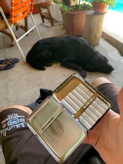 The image captures an outdoor, casual scene from a slightly elevated perspective, with the ground appearing at an angle. The primary focus is on a person's right hand holding an open, rectangular metal cigarette case in the foreground.

The cigarette case is silver-toned with a finely textured, possibly engraved or embossed, geometric pattern covering its inner surfaces. One side of the open case contains approximately eight to nine neatly arranged cigarettes, held in place by a brass-colored metal bar. These cigarettes appear to be unbleached or light brown, with visible filter tips. Each cigarette has a small, circular emblem or logo near the filter, resembling a stylized sun or a floral design. The other side of the case (the inner lid) is empty and features the same textured pattern, with a central oval containing text. When viewed from the perspective of the image, the text within this oval reads "RIMATZ" (which would be "STAMIR" if seen directly and not inverted).

Part of the person's body is visible below the hand holding the case. The person is wearing dark shorts or pants on their right leg, which features white text or a logo. The visible text on the shorts reads "Skuundtd ltd" followed by "NEW YORK UNDERGROUND ELITE". A dark flip-flop or sandal is visible on the ground near the person's feet.

In the mid-ground, a black dog, possibly a Labrador or similar breed, is lying relaxed on a light-colored concrete or paved surface. Its head is facing away from the camera, and its body is stretched out.

The background shows an outdoor patio or similar area. To the left of the dog, several terracotta pots holding green plants are visible, along with a wooden log or planter. Part of a chair with orange slats is also discernable on the far left. The lighting suggests bright daylight, casting subtle shadows, indicating it is likely mid-morning or afternoon. The overall atmosphere appears calm and relaxed.