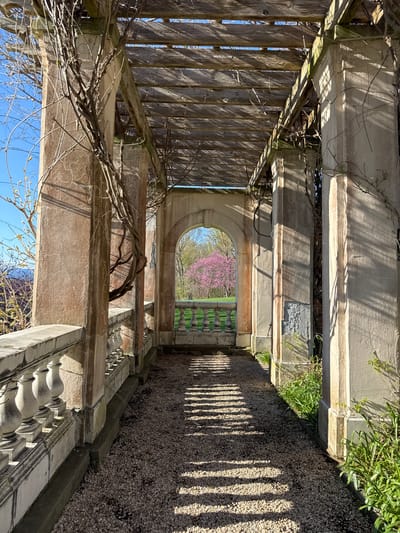 The image captures a view through an architectural structure located in the Town of Red Hook, United States of America. The structure consists of weathered stone and wood elements, including a pergola-like roof with wooden slats casting shadows on the stone pathway below. An arched opening in the structure frames a view of trees, including one with pink blossoms. The path appears to be covered with small pebbles or gravel. Bare vines are intertwined with the structure. The image is taken from a perspective that emphasizes the architectural elements and the landscape visible through the opening.