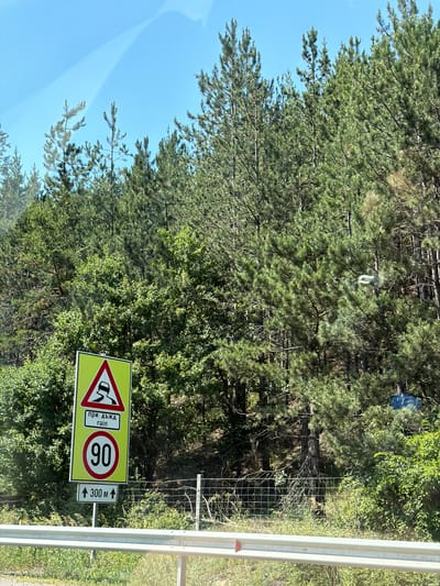 The image shows a roadside scene in Potop, Bulgaria, likely during daylight hours as indicated by the bright sky and clear visibility. The setting is predominantly natural, with a dense forest of pine and deciduous trees lining the road. A light blue sky is visible through the branches on the left side of the frame. A metal guardrail runs along the right edge of the road, separating it from the vegetation.
Prominently featured are several road signs. The primary sign is a yellow diamond shape with a red border, warning of a slippery road due to rain. Below this, it has text in what appears to be Cyrillic and English: "при ДЪЖДА" and "rain". To the right of this warning sign is a circular sign indicating a speed limit of 90. Further to the right, another sign shows an arrow pointing upwards with "300 м" above it, suggesting a distance of 300 meters. A thin wire fence is visible behind the signs, bordering the forest.
A faint reflection on the surface of the image suggests it was taken from inside a vehicle. The trees are lush and green, indicating a warm season. No people are visible in the frame. The overall impression is a typical rural or highway scene in a forested area, with clear safety signage in place.