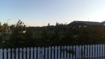 The image depicts a residential area in Choktal, Kyrgyzstan, under a clear sky. In the foreground, a white picket fence runs horizontally across the frame, partially obscuring a lush green lawn dotted with white flowers. Behind the fence, various trees and shrubs create a dense layer of foliage. In the middle ground, a row of modern houses with dark roofs are visible, separated by more white picket fences and trees. A streetlamp stands to the left of the houses, casting a faint light. The overall impression is one of a quiet, suburban landscape during the daytime.