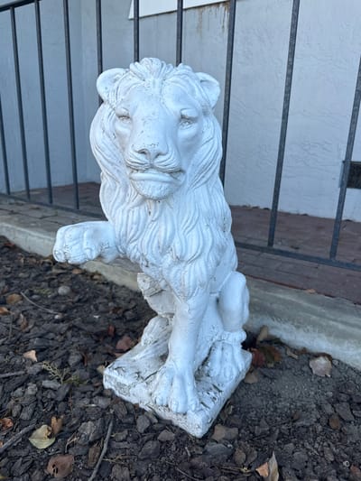 A white, weathered statue of a lion stands on a rectangular base. The statue is seated with its left paw raised, as if in a gesture of greeting or warning. The lion has a mane that frames its face, and its eyes, nose, and mouth are sculpted in detail. The statue is positioned outdoors on a bed of dark mulch, scattered with dry leaves and small branches. Behind the statue, a concrete ledge runs horizontally, and beyond that, dark metal bars form a fence. A light-colored wall is visible behind the fence. The overall scene appears to be in a residential or public outdoor space.