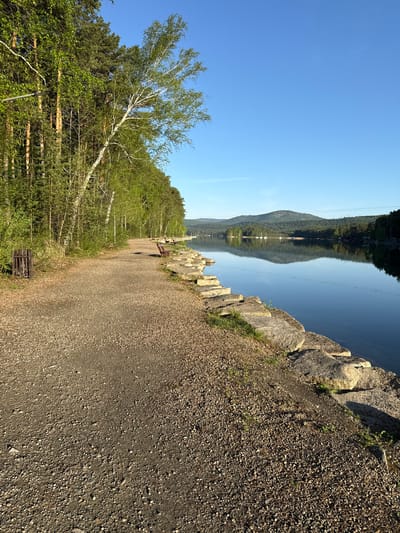 The image depicts a gravel path running alongside a body of water in Dom Otdykha Zolotoy Plyazh, Russia. The path is bordered by a rocky embankment on one side and a forest on the other. A lone birch tree with sparse green foliage stands prominently among the other trees. The water reflects the sky and the distant mountainous terrain. Power lines stretch across the body of water. There are two wooden benches along the path. The scene is bathed in sunlight.