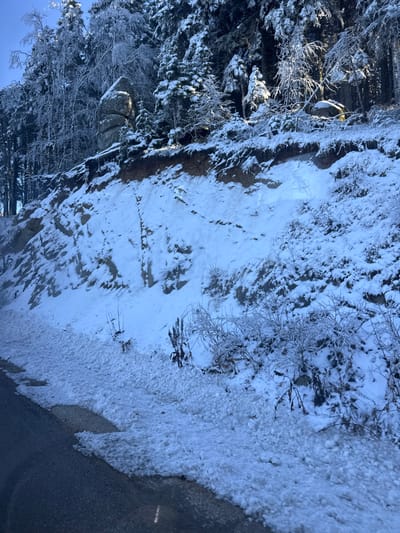 This image displays a snow-covered mountain roadside scene in Bursa, Turkey, specifically within the Uludağ mountain region. In the foreground, the edge of a dark asphalt road is visible in the lower left quadrant, partially covered by a bank of accumulated, granular snow and slush. Adjacent to the road, a steep, snow-covered embankment rises, revealing sections of exposed brown earth and rock through the snow. Several bare bushes and dried plants, some encrusted with ice, protrude from the snow on this slope. Above the embankment, a dense coniferous forest covers the upper slope and background. The pine and fir trees are heavily laden with snow and ice, with sunlight illuminating their frost-covered branches. A distinctive, vertically stacked rock formation is visible amidst the trees on the upper left portion of the slope. The scene is illuminated by clear daylight, casting shadows and highlighting the icy conditions. No individuals, animals, or vehicles are present.