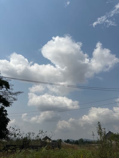 The image depicts an expansive outdoor scene in Agbogugu, Nigeria, under a bright blue sky partially obscured by large, fluffy white cumulus clouds. Multiple dark power lines traverse horizontally across the mid-upper section of the frame. In the foreground and midground, dense, wild green and brown vegetation, including various shrubs and tall grasses, covers the terrain. A dark-leaved tree with some bare branches is visible on the far left, extending into the sky. Scattered throughout the midground are several structures; one partially constructed building with dark block walls is evident, and a structure to the right features a dark, sloped roof. Distant, hazy green hills or low mountains are visible on the horizon beneath the cloud cover. No individuals or specific actions are discernible. The scene is illuminated by strong, natural daylight.