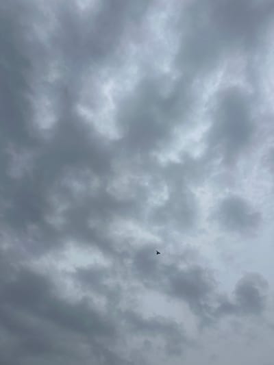The image shows a gray, overcast sky in Bogdanci, North Macedonia. The sky is filled with layered cloud formations, giving a sense of depth. A single bird is visible, silhouetted against the clouds.