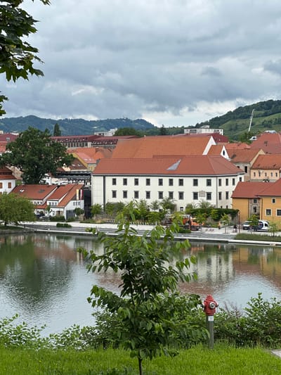 The image captures a view of the river Drava in Maribor, Slovenia, looking across to the Lent district. In the foreground, lush green grass and foliage dominate, with a vibrant red fire hydrant positioned to the right of center. The river itself is calm and reflective, mirroring the architecture on the opposite bank.
Across the river, a complex of buildings with distinctive orange-red tiled roofs is visible. The most prominent structure is a large, white building with multiple windows, appearing to be a historical or institutional building. Adjacent to it are smaller, colorful buildings, some painted in warm yellow and white tones, all contributing to the charming urban landscape. Trees with dark green foliage are interspersed among the buildings, softening the urban edges.
In the middle ground, a modern promenade or walkway lines the riverbank, with areas of paving and some landscaping. Several people are present, engaged in activities that suggest a public space, with some individuals walking and others appearing to be resting. A construction vehicle, an orange excavator, is parked near the promenade, indicating ongoing work or maintenance. A white van is also visible.
The background is characterized by rolling green hills covered in dense forest, indicative of the natural landscape surrounding Maribor. The sky is overcast with heavy grey clouds, suggesting a temperate climate. The overall impression is of a peaceful, integrated urban and natural environment, with the river serving as a central element connecting the city to its surroundings.
