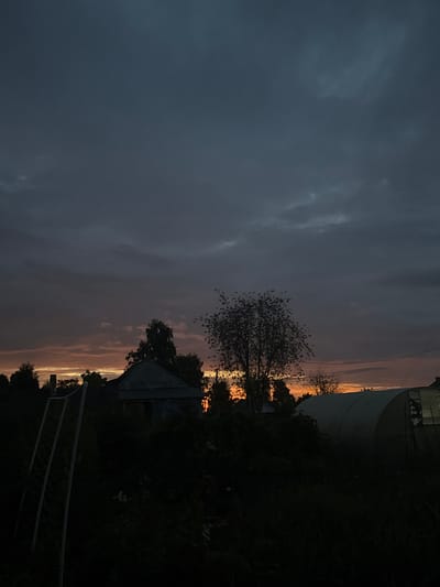 The image depicts a rural scene at dusk in Ryabinino, Russia. The sky is overcast with dark gray clouds, but a band of orange and yellow light from the setting sun is visible near the horizon, peeking through gaps in the clouds. In the foreground, silhouettes of dense vegetation and trees are prominent, obscuring much of the ground.
To the left, a white, angled structure, possibly a sports goal or frame, is partially visible. In the mid-ground, a small, weathered building with a dark, corrugated roof and visible dark window openings is situated among the trees. To the right of the building, a large, arched greenhouse structure made of translucent material is present. The overall impression is one of twilight in a semi-natural, semi-cultivated environment. There are no people or animals visible in the image.