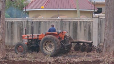 An orange tractor with a single-bottom plow is tilling a field. The tractor has a large rear tire, and smoke is rising from the exhaust. The operator is visible, wearing a blue shirt. In the background is a concrete wall, a building with a red roof, and trees on either side of the image, framing the tractor. The field appears to be partially tilled, with exposed soil and remnants of vegetation.