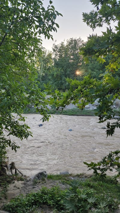 An outdoor medium shot captures a wide, muddy river flowing through a natural landscape. The river occupies the majority of the frame, with its surface textured by ripples and currents. Several rounded rocks are visible submerged in the water, with one larger rock on the left bank. The banks of the river are lined with greenery, including grass and various plants. In the foreground, lush green foliage and branches of trees frame the scene, with leaves and some small, round fruits visible. Beyond the river, a dense line of trees forms the background, with the sky visible above. The sun's rays are peeking through the trees, creating a bright, hazy effect in the upper right portion of the frame. The scene appears to be located near Vodil, Uzbekistan, given the natural environment and vegetation. There are no people or animals visible in the image. The overall impression is one of a serene, natural setting along a river.