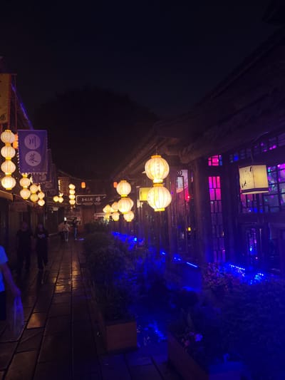 The image depicts a nighttime street scene in Wuhou District, China, illuminated by numerous traditional lanterns and colorful lights. The street is paved with dark, rectangular stones, reflecting the light. On the left side of the street, there are buildings with wooden facades adorned with several strings of white, spherical lanterns. One building prominently displays a blue banner with Chinese characters. Further down the street, more lanterns are visible, along with people walking. On the right side, a building features a series of windows with brightly colored lights, predominantly pink and blue, creating a vibrant and atmospheric glow. The foreground is dominated by a planter box filled with dark green foliage and some flowers, illuminated by bright blue LED lights, which also line the edge of the walkway. The overall impression is of a lively, festive evening street environment.