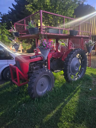 The image depicts a red-painted vintage tractor, repurposed as a garden decoration, resting on a grassy lawn in an outdoor setting. The tractor has been modified with a two-tiered metal frame attached to its rear, functioning as a plant stand. Flower pots containing various plants and blossoms are positioned on the shelves of the frame. The tractor's tires are a dark gray color and show signs of wear. A light-colored car is partially visible in the foreground. The scene suggests a rural or suburban environment, possibly in the Forest of Dean, United Kingdom. A building with a wooden roof is located in the background. Trees and foliage surround the scene, with portions of the sky visible between the trees. A bright light source creates strong glare in the upper portion of the image.