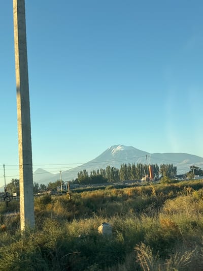 This image depicts a rural landscape near the city of Griboyedov, Armenia, under a clear blue sky. In the foreground on the left, a tall, light-colored concrete utility pole stands vertically, illuminated by sunlight from the right. The mid-ground is dominated by dense, wild vegetation, including various grasses and shrubs in shades of green, brown, and yellow. A smaller, light-colored rock or concrete fragment is partially visible within this vegetation near the bottom center. Utility wires traverse horizontally across the mid-ground, connected to poles largely obscured by the foliage.
In the background, two prominent mountains are visible: a large, snow-capped peak (likely Mount Ararat) dominates the right side, while a smaller, conical peak (likely Little Ararat) appears to its left, further in the distance and softened by atmospheric haze. Between the mid-ground vegetation and the mountains, a line of tall, slender trees with dark green foliage is present. Behind these trees, a reddish-orange cylindrical structure, possibly a silo, and other indistinct industrial or residential buildings are discernable. The scene is devoid of people or visible actions.