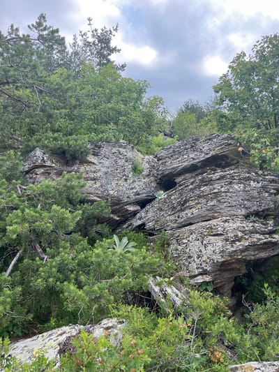 A rocky outcrop is visible amidst dense green foliage under a cloudy sky. The rocks are weathered and layered, with patches of lichen growth. Pine trees and other leafy bushes surround the rocks, creating a natural, untamed landscape. The scene is devoid of any human presence. The specific location is in the vicinity of the village of Simeonovets, Bulgaria.