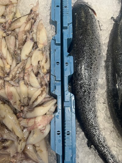 The image shows a close-up, overhead view of fresh seafood displayed on ice in what appears to be a market or fishmonger's stall. On the left side of the image, a large pile of small, white squid, some with reddish speckles, are arranged. They are glistening and appear fresh, with visible tentacles and eyes. To the right of the squid, separated by a blue plastic divider, are two large, whole fish, likely salmon, lying on their sides in the ice. The fish are dark in color with visible scales and appear to be of good quality. The ice is clear and abundant, suggesting the seafood is being kept chilled for preservation. The overall impression is one of a well-stocked and clean display of fresh seafood. There are no people or specific landmarks visible in the image to pinpoint a location in Figueres, Spain.