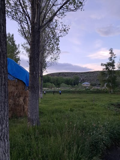 A rural scene in Artsvakar, Armenia, depicts a hay bale covered with a blue tarp on the left, partially obscured by trees. Several people are visible in the middle ground, scattered across a grassy field. In the background, a rocky hillside rises behind a few houses and trees. The sky above is a pale purple and pink, indicating either dawn or dusk. The overall atmosphere is peaceful and serene.