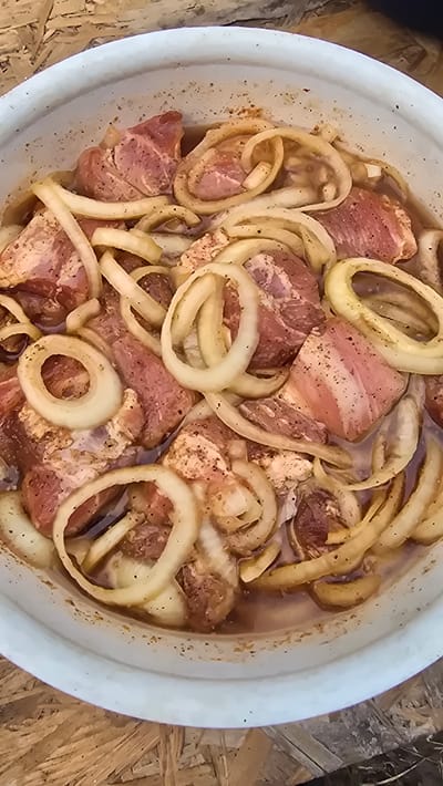 A top-down, close-up view shows pieces of raw meat marinated in a white ceramic bowl. The meat, appearing to be pork, is cut into irregular shapes and is mixed with thick slices of white onion. The mixture is covered in a light brown marinade, speckled with black pepper. The bowl rests on a surface that resembles weathered wood. The scene is likely a preparation for cooking, possibly for a barbecue or stew. No people or specific urban details are visible, so the location in Yasnohorodka, Ukraine, cannot be visually confirmed from the image alone.