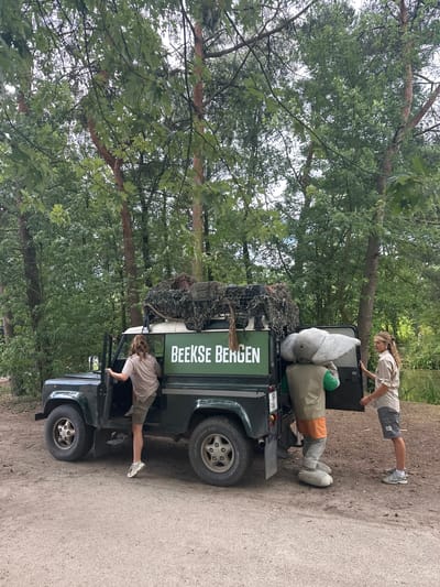 A dark green, open-door Land Rover Defender is parked on a dirt path. The vehicle has a camouflage net covering the roof rack. On the side of the Defender, the text "BEEKSE BERGEN" is visible in white capital letters. A person with blonde hair, wearing a light brown t-shirt and khaki shorts, is climbing into the driver's side of the vehicle. Facing the vehicle from the passenger side is another blonde person wearing a light brown collared shirt and dark grey shorts, holding the open rear door. Standing beside the rear of the vehicle is a person in a grey elephant costume with a green vest and orange shorts. The background is a dense forest with tall trees. In the far right background, a body of water can be seen. The overall scene appears to be at Beekse Bergen Safari Park in Hilvarenbeek, Netherlands, given the text on the vehicle.
