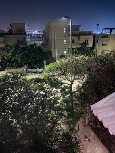 An elevated, wide-angle, night-time exterior shot captures a residential street scene in Legenda, Egypt. In the foreground, lush green foliage, some bearing small pink flowers, dominates the lower half of the frame, with a portion of a tiled roof visible in the bottom right corner. Beyond the vegetation, a light-colored sedan is parked on the street, its headlights off. Several multi-story buildings, typical of urban Egyptian architecture with their light-colored facades and balconies, are visible in the mid-ground and background. A street lamp illuminates the scene, casting a soft glow on the buildings and street. The sky is a deep, dark blue, suggesting late evening or early night. Two cats are seen on the paved ground in the lower right quadrant.