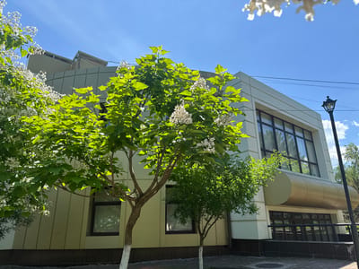 The image depicts the facade of a modern building in the city of Vadul lui Vodă, Moldova, on a clear, sunny day. The building has a light green and cream-colored exterior with large, dark-framed windows. A distinctive golden, cylindrical awning extends over the entrance. In front of the building, two trees are visible. The larger tree in the foreground is adorned with lush green leaves and clusters of white flowers. Its trunk is painted white at the base. To the right of this tree, a smaller tree with green foliage stands. The ground is paved with patterned bricks, and a black lamppost is positioned to the right of the building. The sky is a vibrant blue with a few scattered white clouds. The overall scene conveys a sense of a well-maintained urban environment in bloom.