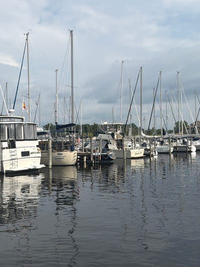 The image depicts a marina with numerous sailboats docked in the water. The boats are lined up side-by-side, with their masts and rigging clearly visible against a cloudy sky. Some boats have flags, and others have names or identifying numbers. The water reflects the boats and their masts, creating a somewhat distorted but picturesque view. In the foreground, the water appears dark and choppy, with ripples distorting the reflections. The background shows a shoreline with trees and buildings, suggesting an urban or semi-urban environment. The scene is quiet and still, conveying a sense of peacefulness. The location is the city of Muskegon, United States of America.