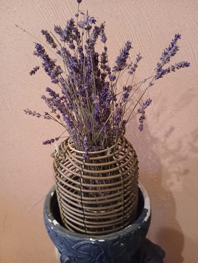 A bundle of dried lavender is displayed in a woven cylindrical vase with a metal frame. The vase sits inside a dark, ornate pot. The background is a textured, light-colored wall. The image was taken indoors.